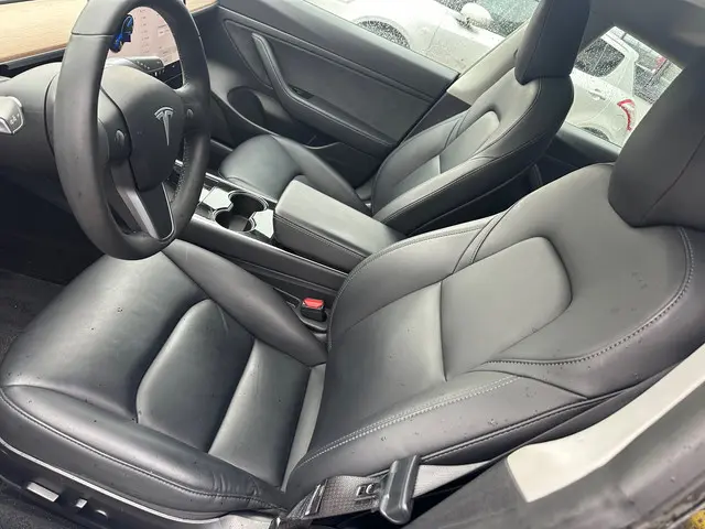 Tesla Model 3 Standard RWD Plus 60 kWh 2020 Elektrisch 10