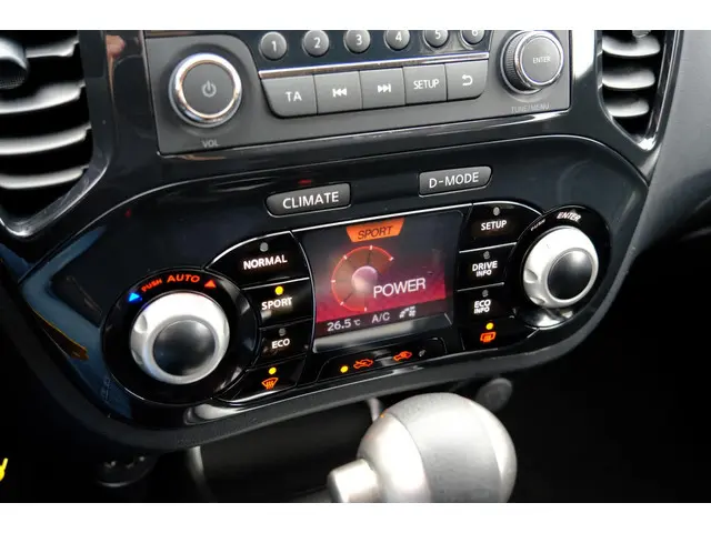 Nissan Juke 1.6 Acenta Aut. Clima|LMV|Cruise 2013 Benzine 13