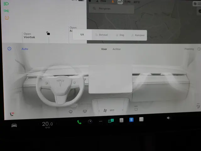 Tesla Model 3 Standard RWD Plus 60 kWh 2021 Elektrisch 36
