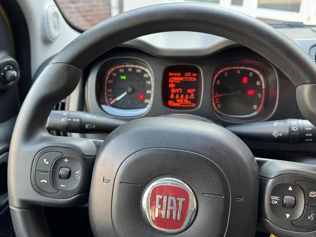 Fiat Panda 1.2 City Cross 2019 Benzine 12
