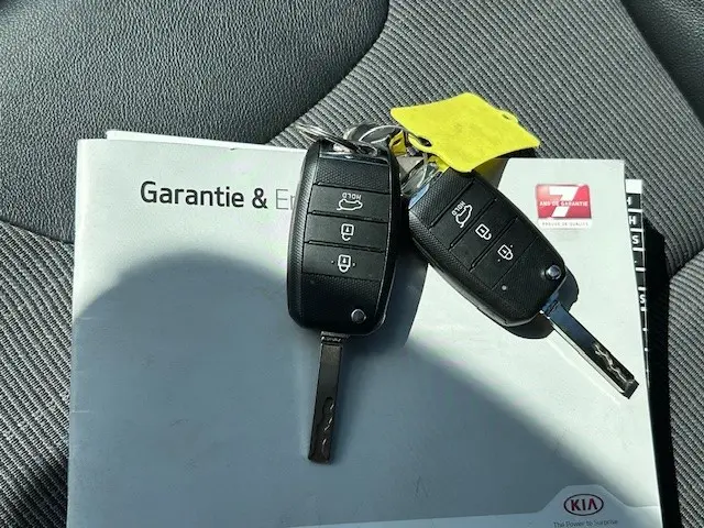 Kia Niro 1.6 GDi Hybrid DynamicLine 2019 Hybride Benzine 19