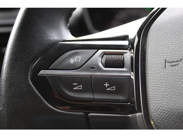 Peugeot 2008 1.5 BlueHDi Blue Lease Active 2021 Diesel 23