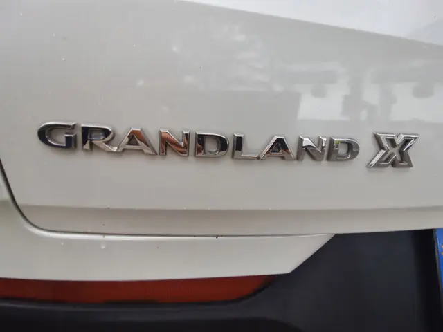 Opel Grandland X 1.2 Turbo Edition 2019 Benzine 17