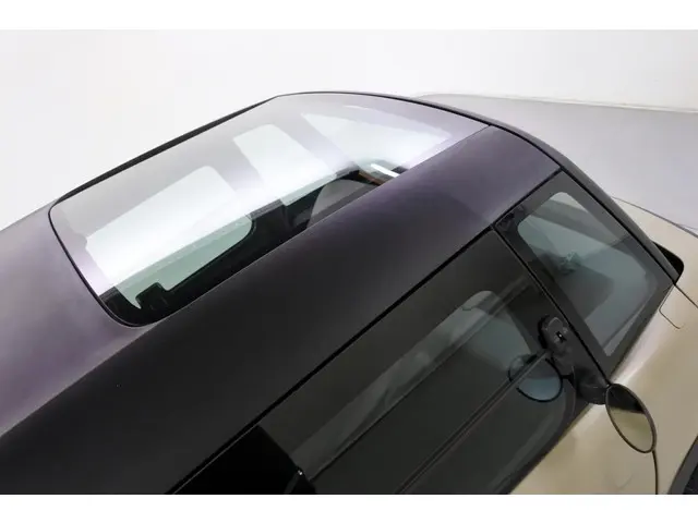 Citroën Ami MY AMI VDA! 2021 Elektrisch 10