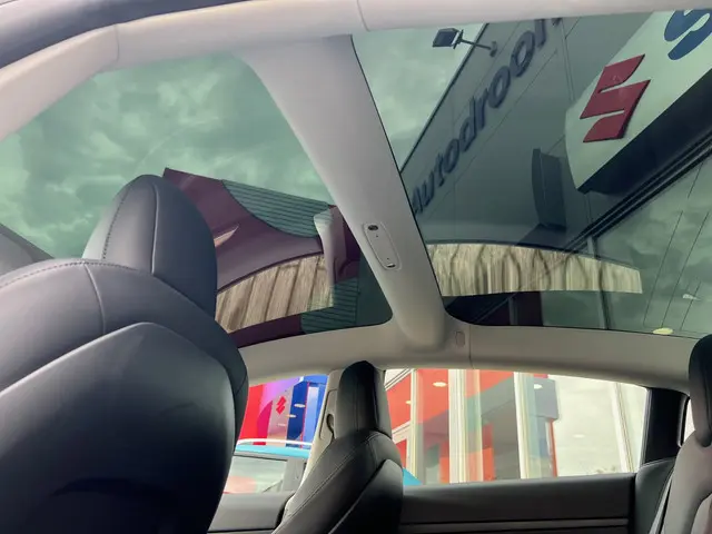 Tesla Model 3 Standard RWD Plus 2021 Elektrisch 16