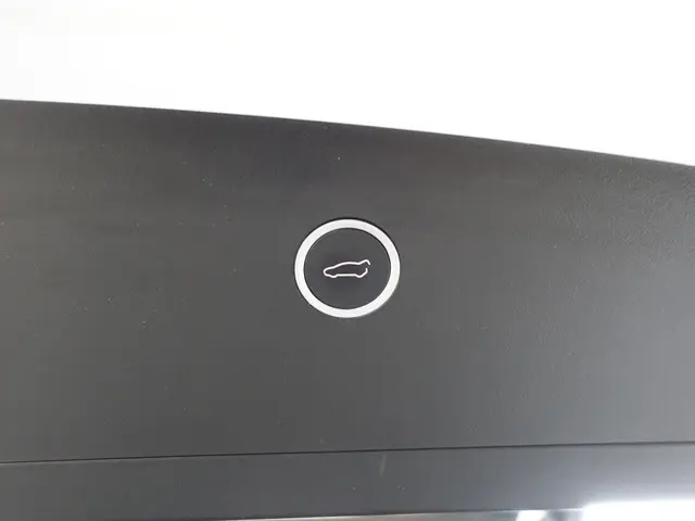 Tesla Model X Long Range Black Pack- 2019 Elektrisch 39