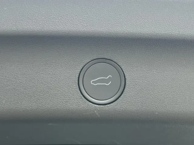 Tesla Model Y Long Range AWD 75 kWh 2023 Elektrisch 26