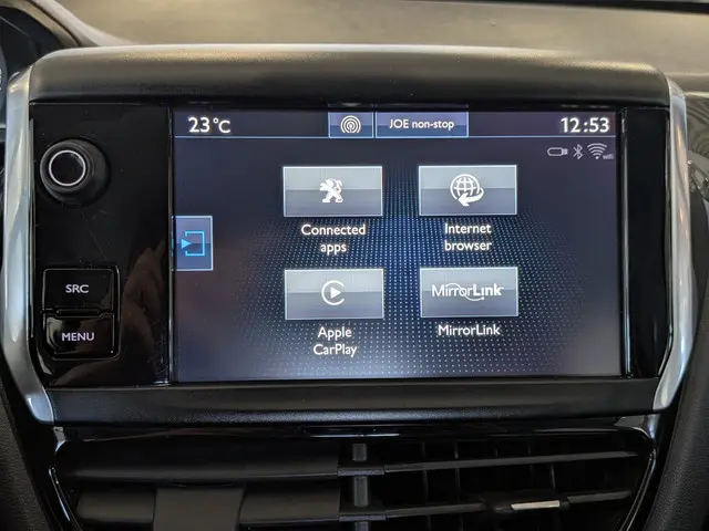 Peugeot 208 1.2 PureTech Blue Lion 2016 Benzine 20