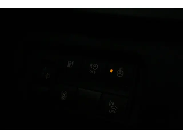 Nissan Leaf e+ N-Connecta 62 kWh 2021 Elektrisch 24