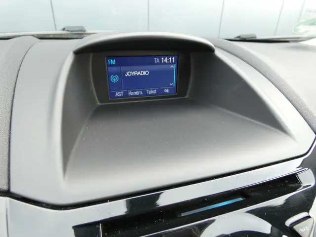 Ford Fiesta HELAAS VERKOCHT!!! 2015 Benzine 15