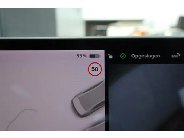Tesla Model 3 Long Range AWD 75 kWh 2019 Elektrisch 39