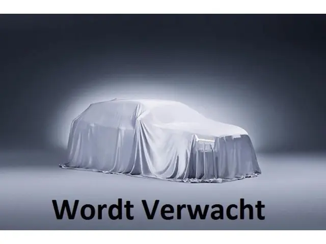 Renault Clio 1.0 TCe Bi-F. Intens 2020 LPG/Gas 29