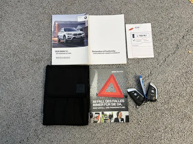 BMW X1 xDrive20i High Executive 2018 Benzine 39