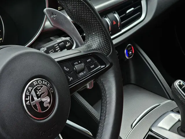 Alfa Romeo Stelvio 2.0 T GME AWD Veloce 2022 Benzine 15