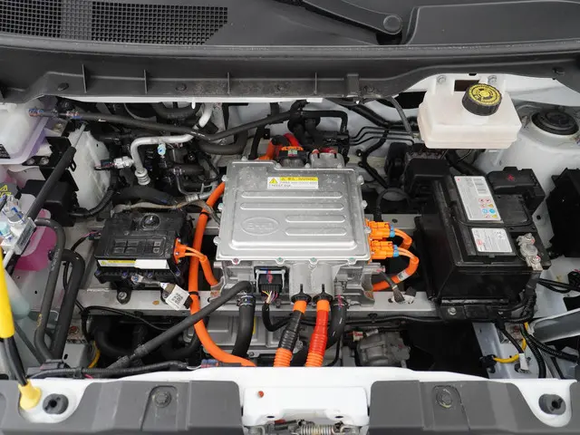 BYD ETP3 Standard 45 kWh 2023 Elektrisch 16