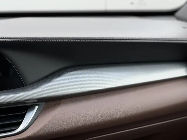 Alfa Romeo Stelvio 2.0 T AWD B-Tech 2019 Benzine 24