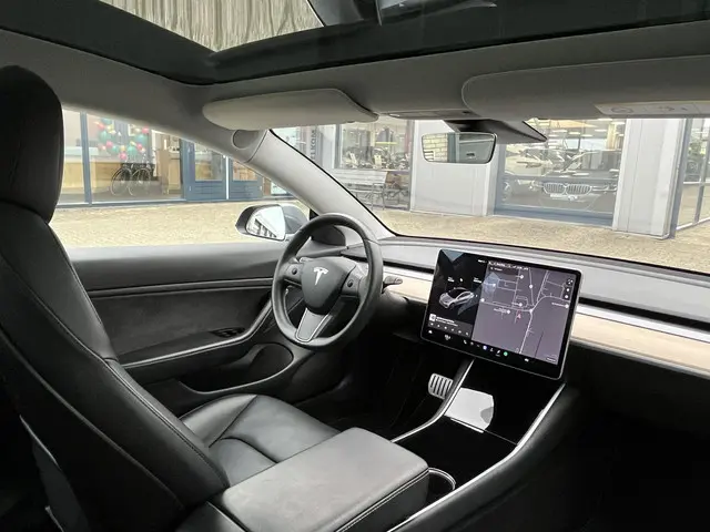Tesla Model 3 Performance AWD 75 kWh 2019 Elektrisch 30