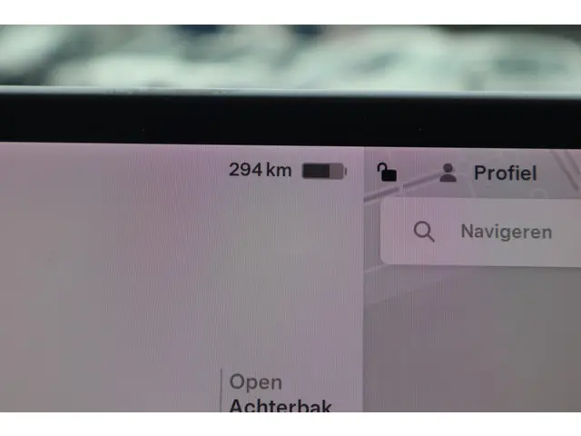 Tesla Model 3 Long Range AWD 75 kWh 2019 Elektrisch 30