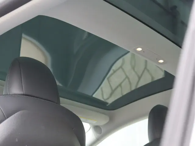 Tesla Model 3 Standard RWD Plus 60 kWh 2019 Elektrisch 27