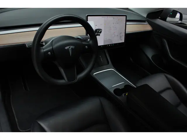 Tesla Model 3 RWD 2023 Elektrisch 10
