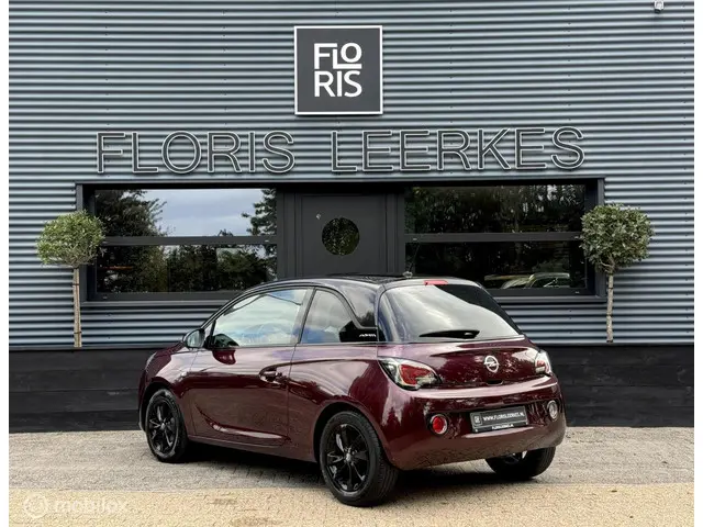 Opel ADAM | 1.2 JAM | Cruise Control | Nieuwe APK 2013 Benzine 3