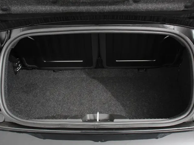 Fiat 500C 1.0 Cabrio Bella Vita 2023 Benzine 43