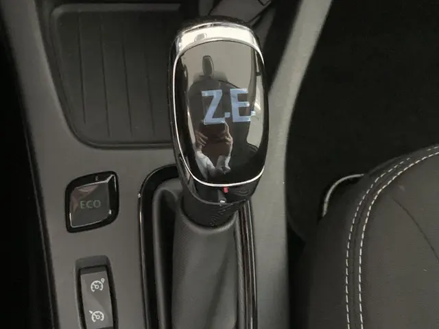 Renault ZOE R110 Limited 41 kWh (ex Accu) 2019 Elektrisch 21