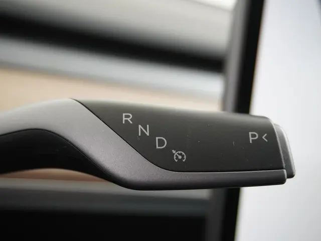 Tesla Model Y Performance AWD 75 kWh 2022 Elektrisch 27