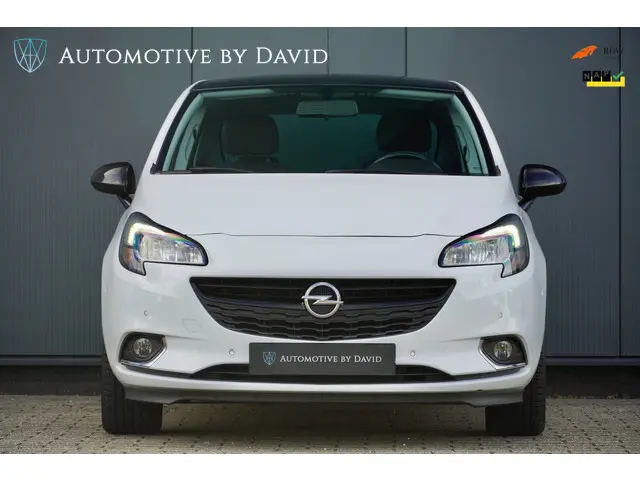Opel Corsa 1.0 TURBO 116 pk COLOR EDITION 2015 Benzine 5