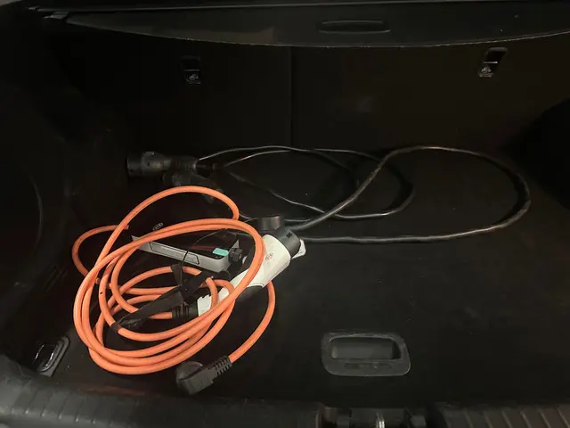 Kia e-Niro ExecutiveLine 64 kWh 2020 Elektrisch 20