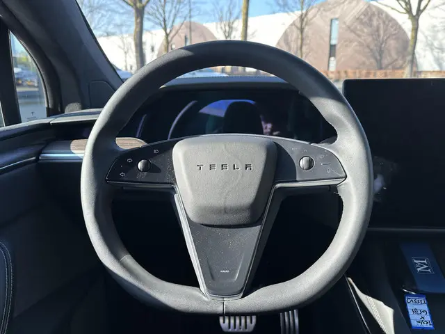 Tesla Model X Dual Motor AWD 100 kWh 2023 Elektrisch 13