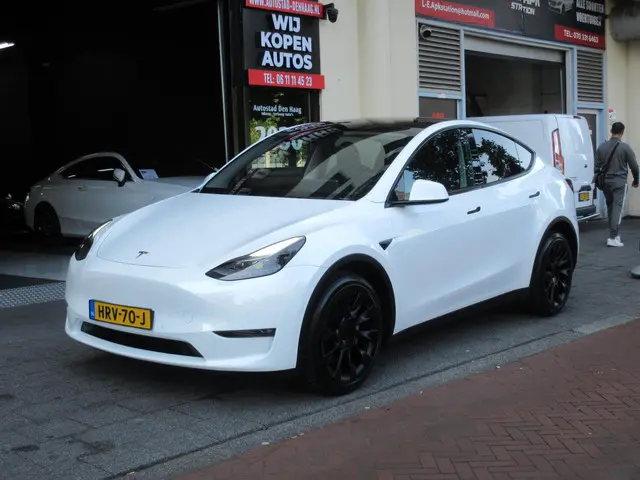 Tesla Model Y Long Range AWD 75 kWh 2022 Elektrisch
