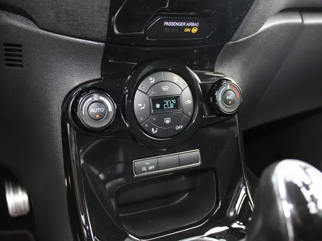 Ford Fiesta 1.0 EcoBoost Black Edition 2015 Benzine 16