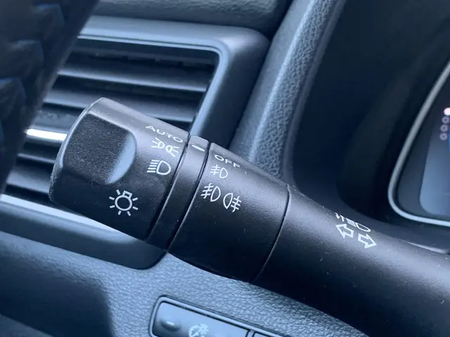 Nissan Leaf Acenta 40 kWh 2020 Elektrisch 28