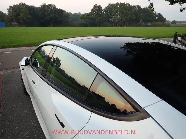 Tesla Model 3 Performance AWD 75kWh 2020 Elektrisch 36