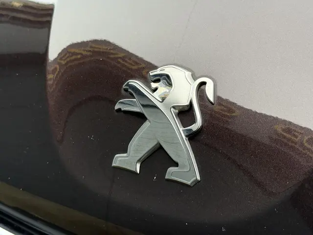 Peugeot 208 1.2 VTi Envy 2013 Benzine 27