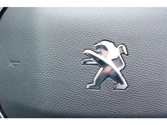Peugeot 2008 1.2 PT 130 GT 2021 Benzine 19