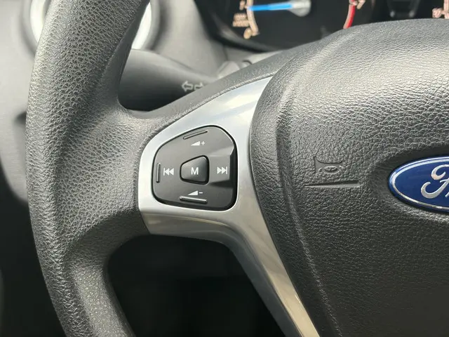 Ford Fiesta 1.0 Champion 2013 Benzine 13