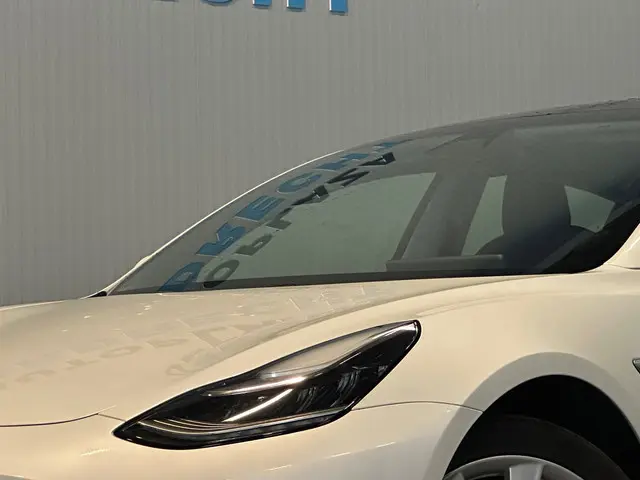 Tesla Model 3 Standard RWD Plus 60 kWh 2020 Elektrisch 5