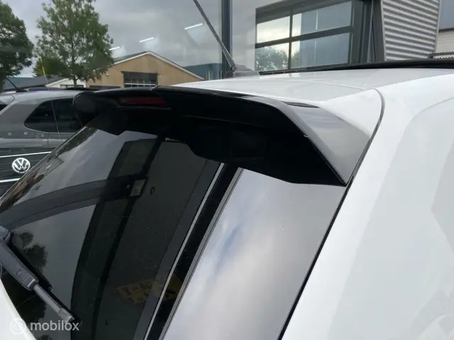 Volkswagen Polo 2.0 TSI GTI 2019 Benzine 14