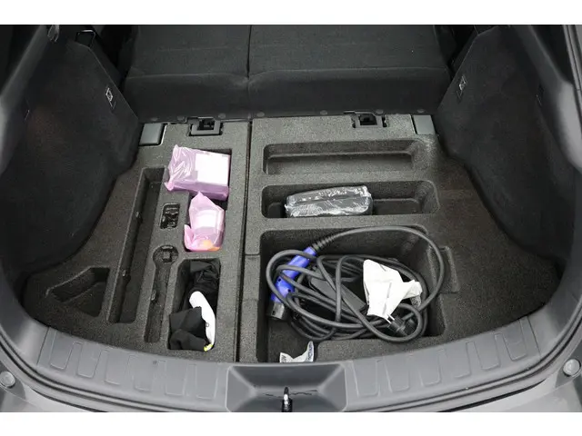 Lexus UX 300e Business 54 kWh 2020 Elektrisch 32