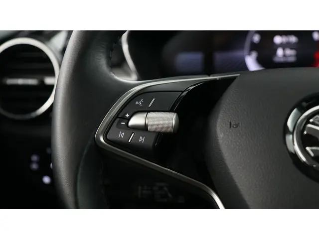 Škoda Fabia 1.0 TSI 115pk Selection DSG 2024 Benzine 17