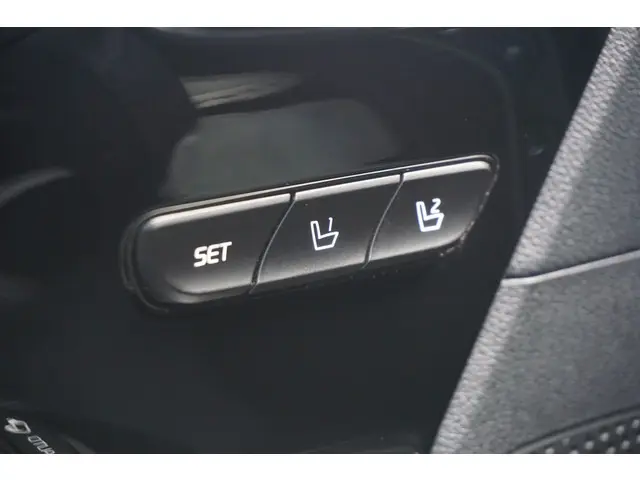 Kia e-Niro ExecutiveLine 64 kWh 2019 Elektrisch 22