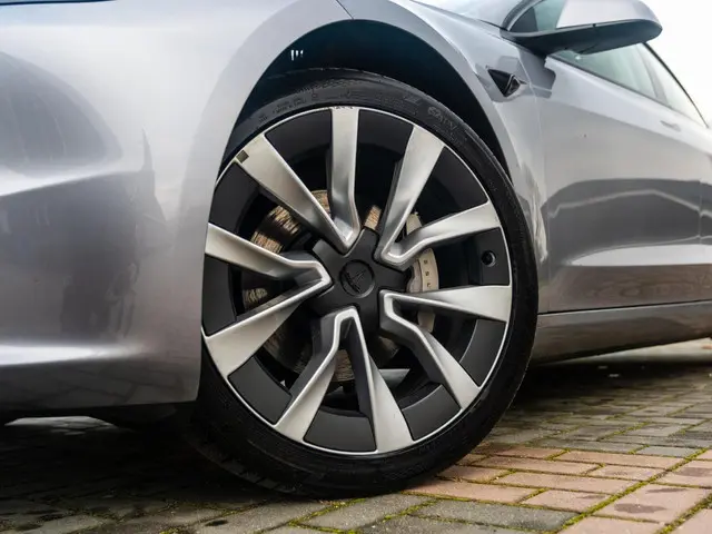 Tesla Model 3 RWD 60 kWh 2024 Elektrisch 12