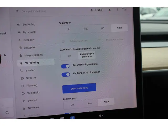 Tesla Model 3 Performance AWD 75 kWh 2019 Elektrisch 32