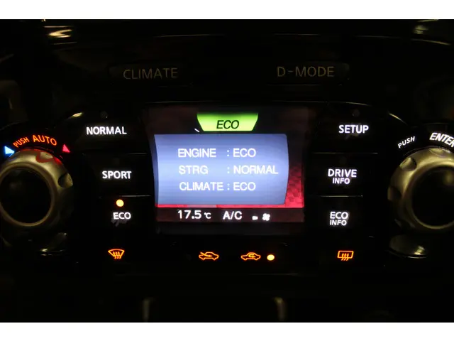 Nissan Juke 1.6 Acenta 2013 Benzine 19
