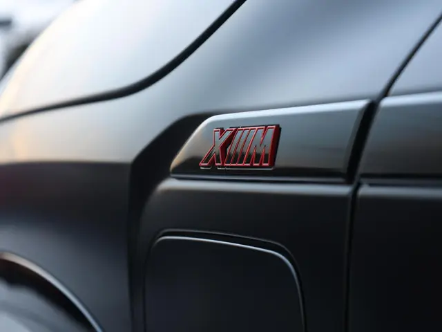 BMW XM PHEV Label Red 30 kWh 2025 Hybride Benzine 3