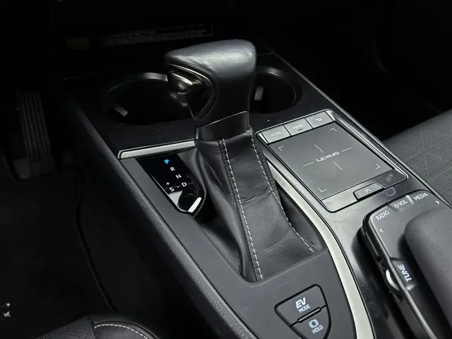 Lexus UX 250h Luxury Line 2019 Hybride Benzine 17