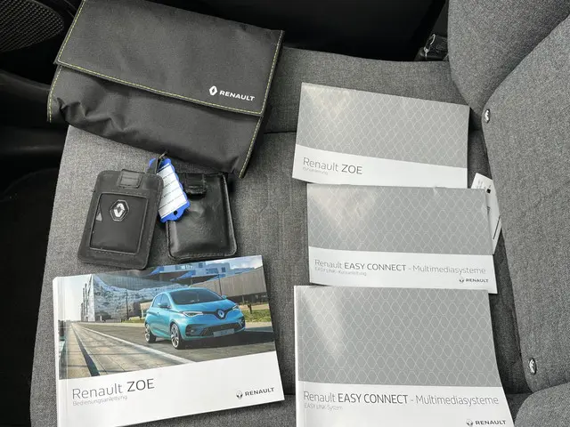Renault ZOE R135 Intens 52 kWh 2020 Elektrisch 29