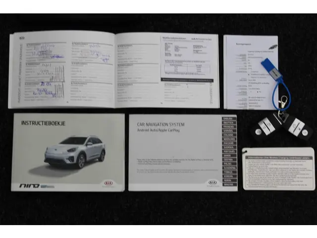 Kia e-Niro ExecutiveLine 64 kWh 2019 Elektrisch 14